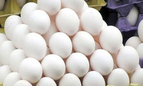 50 میلیارد زیان روزانه در صنعت تخم‌مرغ /  وزارت جهاد کشاورزی در کما! +جزییات