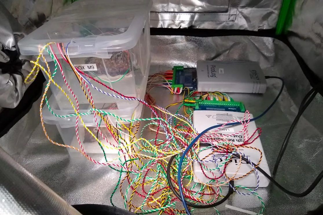 ساخت کامیپوتر زنده مبتنی بر قارچ به دست دانشمندان میسر شد