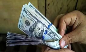 قیمت دلار به کجا می‌رسد؟/ نظر متفاوت 2 گروه متخصص!