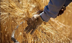 خبر خوش برای این افراد / حسابتان شارژ شد
