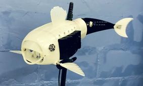 ربات‌ماهی دریاچه‌ها را از وجود میکروپلاستیک‌ها پاک می‌کند
