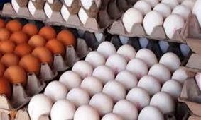 نرخ جدید تخم مرغ اعلام شد؛ پاییزی پر از شوک