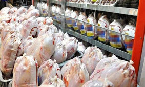  فروش مرغ با ترس و لرز!  ! / مردم شوکه شدند !
