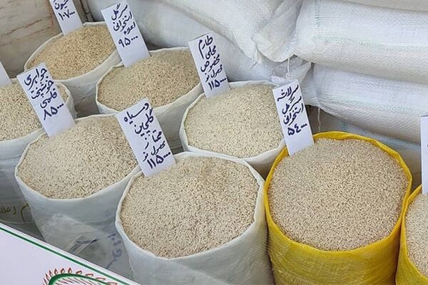 کیسه ۱۰ کیلویی برنج پاکستانی و هندی درجه یک چند شد؟ 