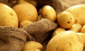 شرایط جدید وزارت جهاد  کشاورزی برای جوجه‌ریزی گوشتی اعلام شد 