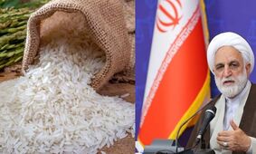 علت گرانی برنج از زبان رئیس قوه قضائیه مشخص شد + فیلم