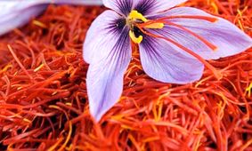 زعفران ایران رکورد زد  