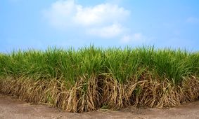 سنگین‌ترین عرضه اولیه تاریخ بورس با طعم شکر