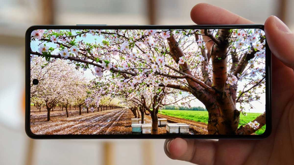 مقایسه ردمی نوت 12 پرو پلاس با نوت 12 پرو