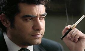 ماجرای جدایی شهاب حسینی از پریچهر قنبری و ازدواج مجددش با ساناز ارجمند + فیلم 