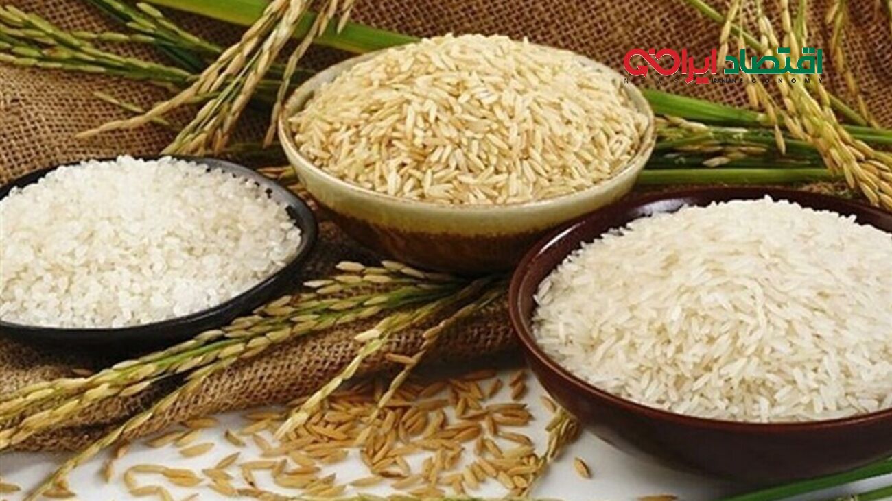 قیمت روز برنج هندی ۲۶ مرداد ۱۴۰۴ | مقایسه برنج هایلی، طبیعت، خاطره + جدول
