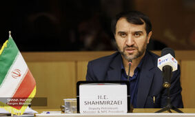 ۱۵۰ میلیارد دلار فرصت سرمایه‌گذاری در صنعت پتروشیمی ایران / مرتضی شاهمیرزایی خبر داد
