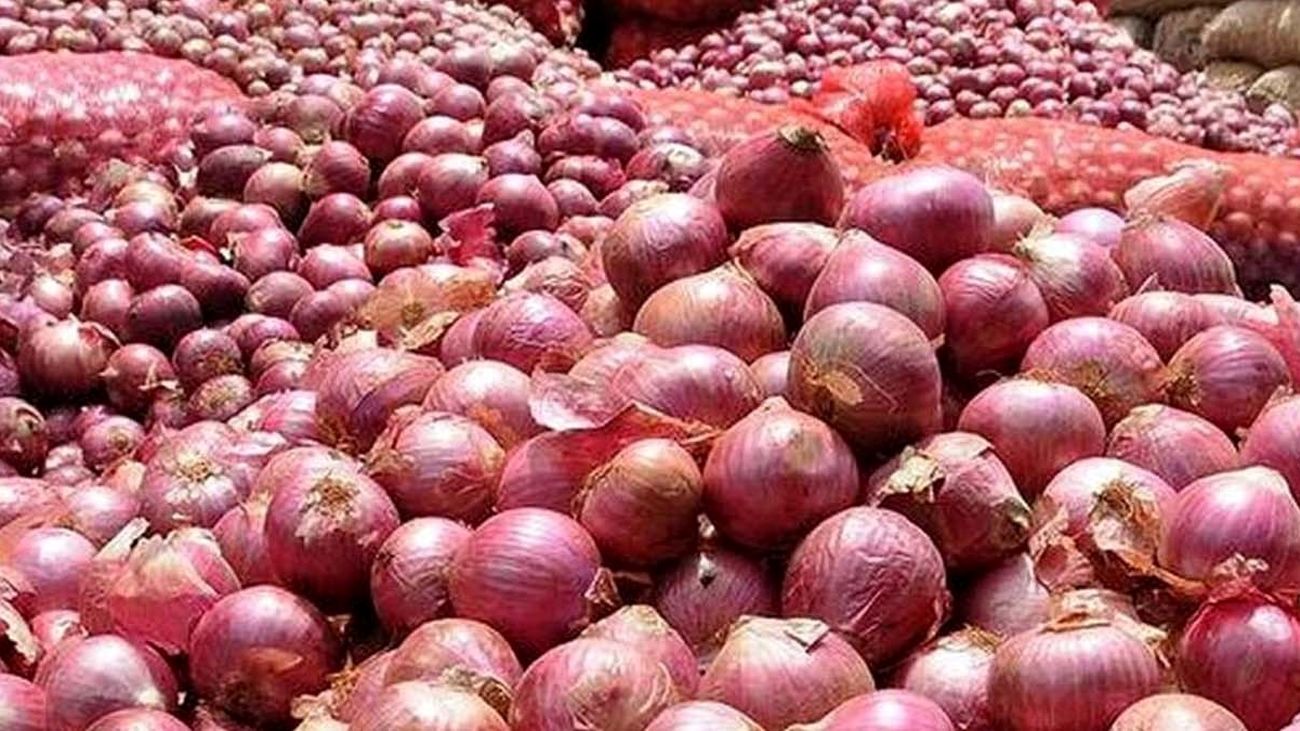 قیمت پیاز سرسام آور شد / چرا پیاز گران شد؟