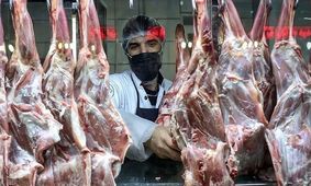 واردات گوشت یارانه‌ای تا پایان سال ادامه دارد 

