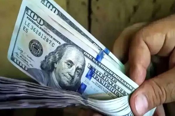 قیمت دلار امروز شنبه ۱۵ آذر ۱۴۰۴ + جدول