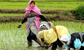 فقر و نابودی محیط زیست ایران در مسیر اشتباه "خودکفایی" / باید سه ساله صنایع را توسعه دهیم تا از کشورهای منطقه عقب نمانیم